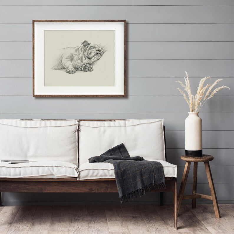 English Bulldog Fine Art Print - Detailed Vintage Style Bulldog Sketch by Artist Ethan Harper, Nursery & Home Decor, Dog Lover Art Gift